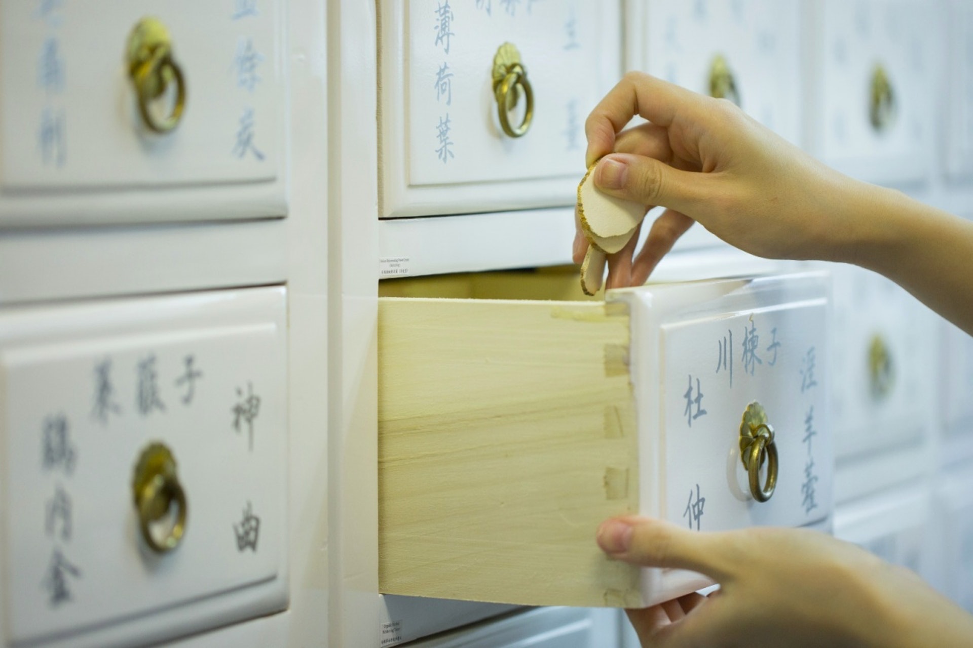 冬天是封藏的季節,貯備營養,所以一般提倡冬令宜進補。(資料圖片) 冬天是封藏的季節,貯備營養,所以一般提倡冬令宜進補。(資料圖片)