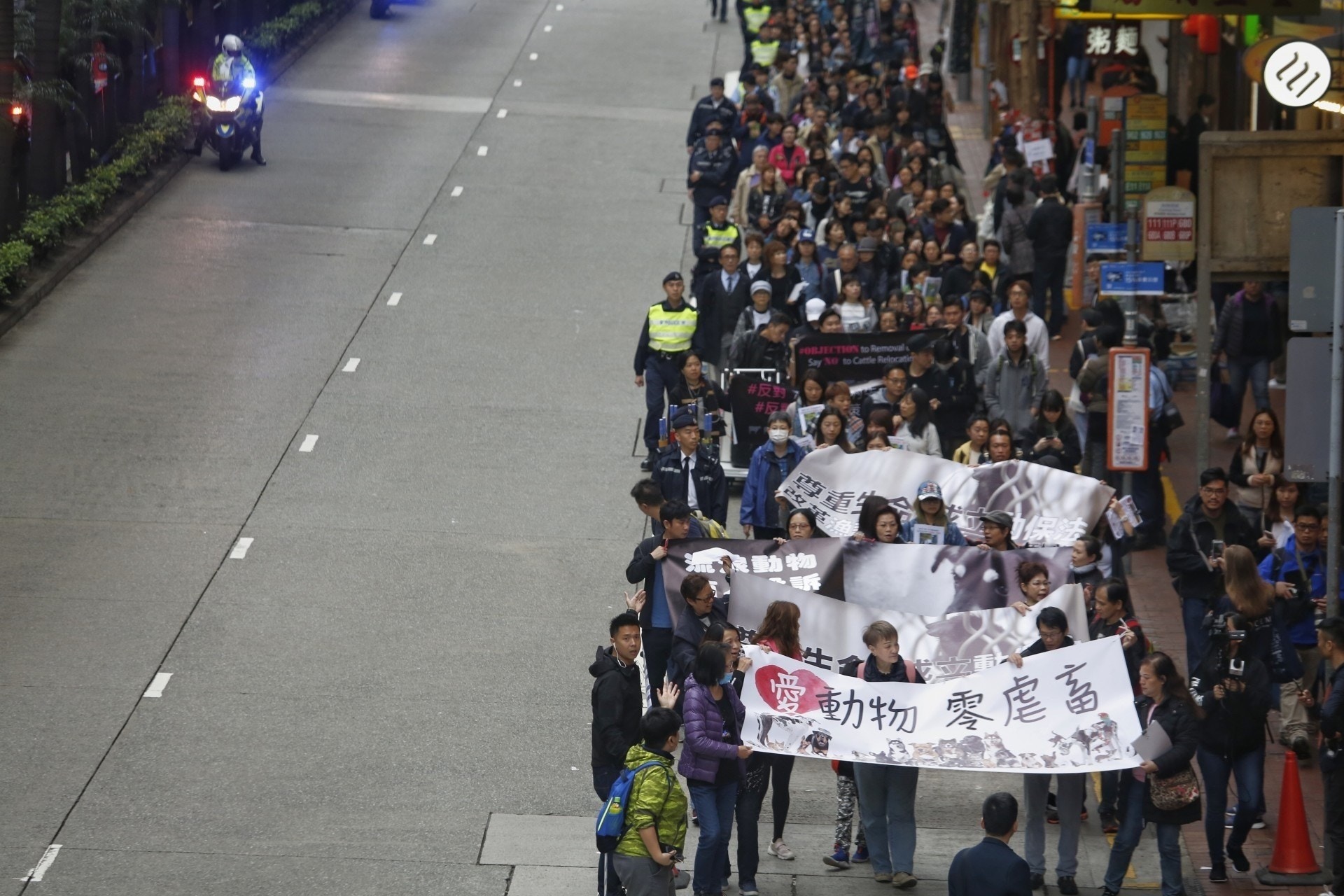 民間爭取成立動物福利法呼聲高漲,促使港府就相關法例修訂及草擬展開公眾諮詢。(資料圖片) 民間爭取成立動物福利法呼聲高漲,促使港府就相關法例修訂及草擬展開公眾諮詢。(資料圖片)