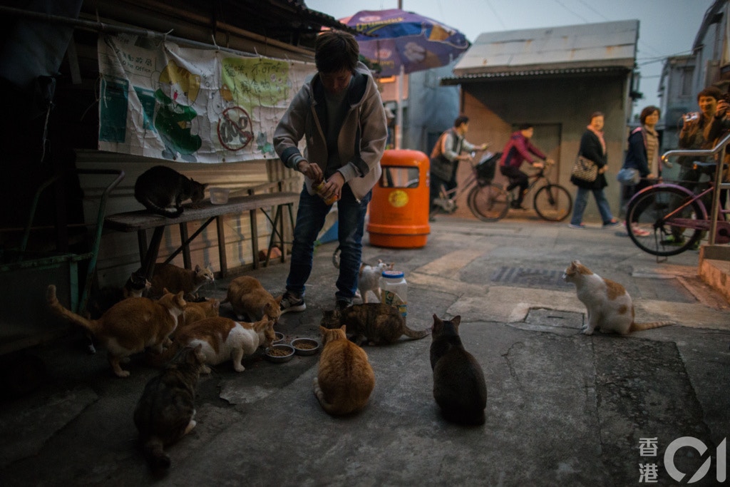 漁護署建議引入「謹慎責任」,若主人遺棄動物,或動物病倒或受傷時,沒有適時向獸醫求診,政府都可向主人發出改善通知書,要求對方在指定期間內改善,否則可能會被檢控。(資料圖片 / 梁鵬威攝) 漁護署建議引入「謹慎責任」,若主人遺棄動物,或動物病倒或受傷時,沒有適時向獸醫求診,政府都可向主人發出改善通知書,要求對方在指定期間內改善,否則可能會被檢控。(資料圖片 / 梁鵬威攝)