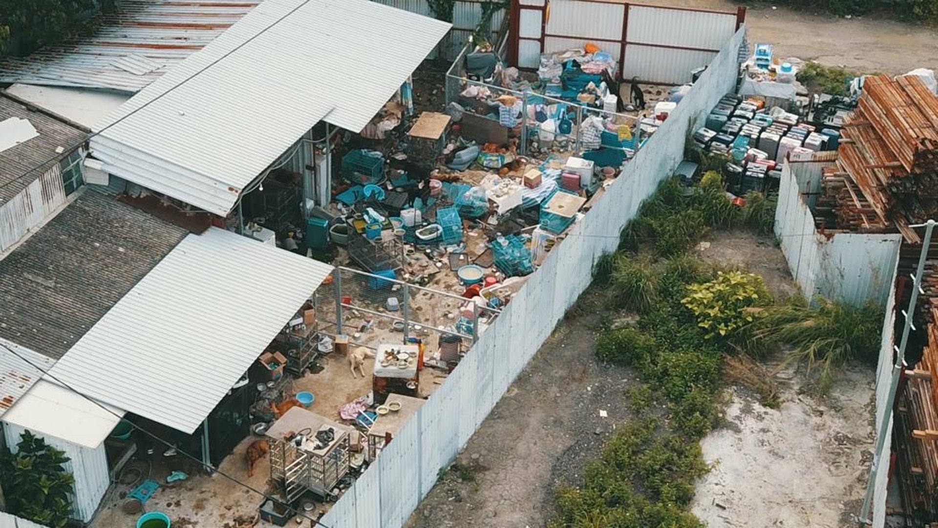 義工航拍發現場內一片凌亂,猶如亂葬崗。(義工林小姐提供) 義工航拍發現場內一片凌亂,猶如亂葬崗。(義工林小姐提供)