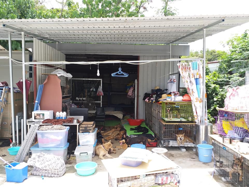 2018年6月,「浪舍」仍然井然有序。(「浪舍」fb) 2018年6月,「浪舍」仍然井然有序。(「浪舍」fb)