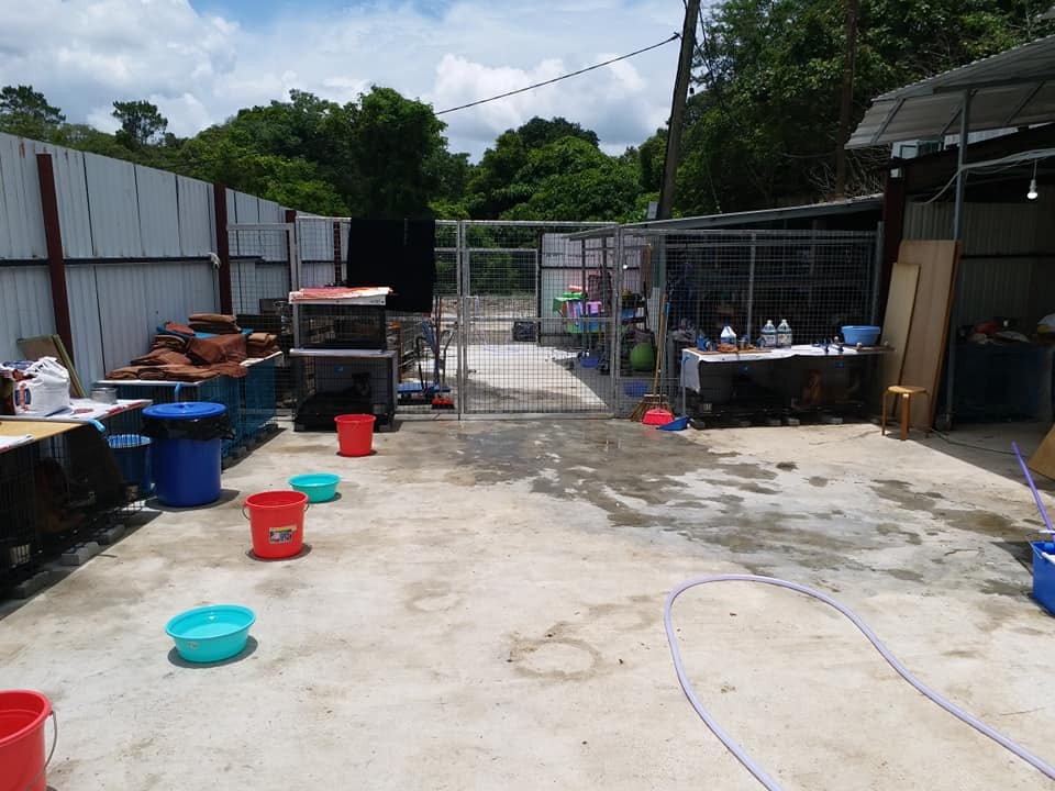 2018年6月,「浪舍」仍然井然有序。(「浪舍」fb) 2018年6月,「浪舍」仍然井然有序。(「浪舍」fb)