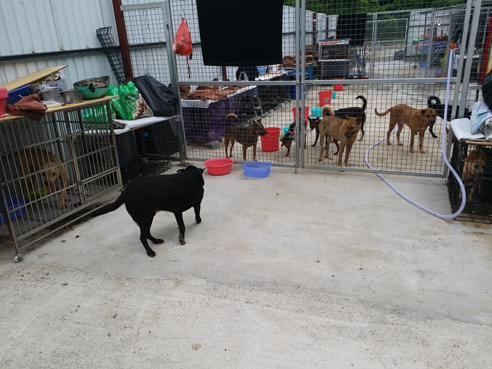 2018年6月,「浪舍」仍然井然有序。(「浪舍」fb) 2018年6月,「浪舍」仍然井然有序。(「浪舍」fb)