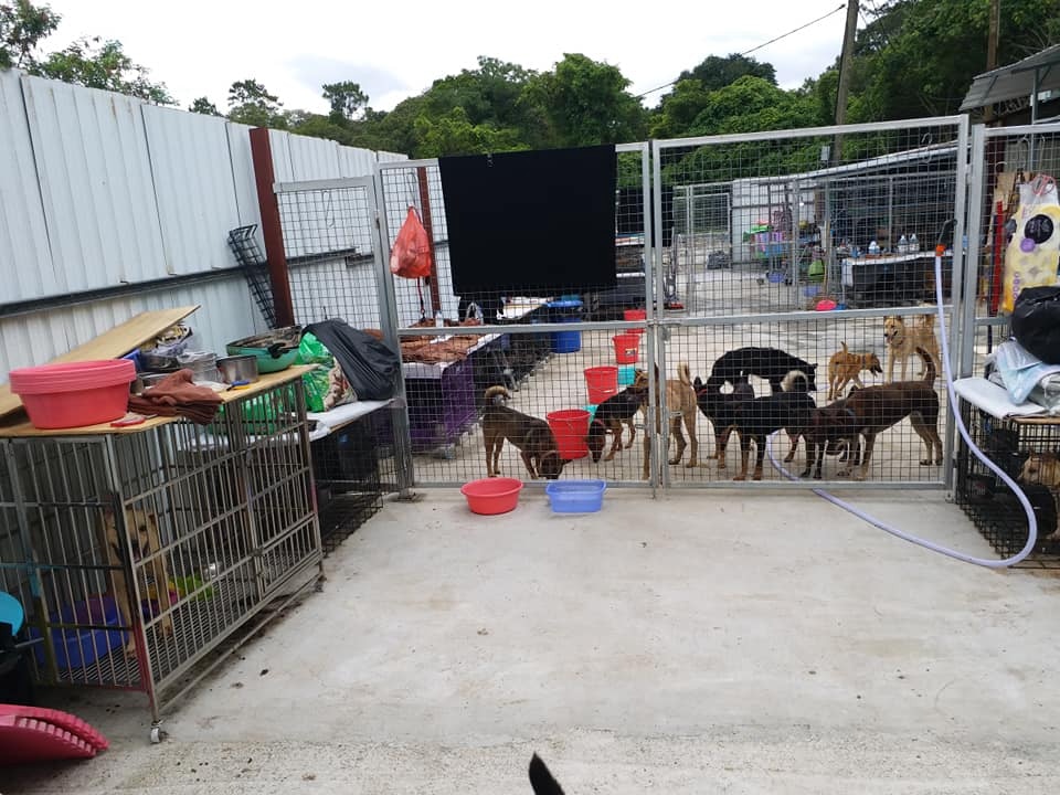 2018年6月,「浪舍」仍然井然有序。(「浪舍」fb) 2018年6月,「浪舍」仍然井然有序。(「浪舍」fb)