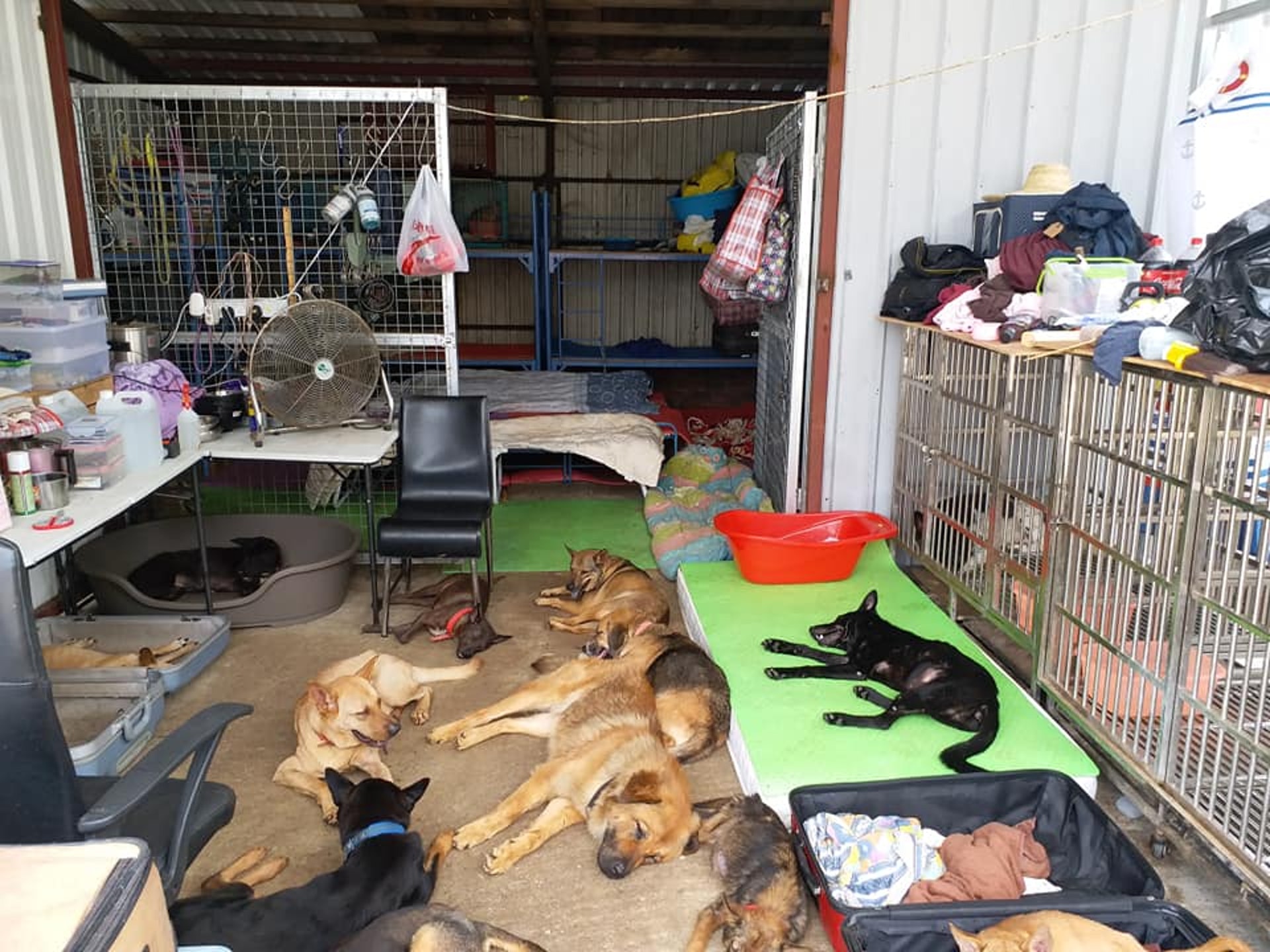 2018年6月,「浪舍」仍然井然有序。(「浪舍」fb) 2018年6月,「浪舍」仍然井然有序。(「浪舍」fb)