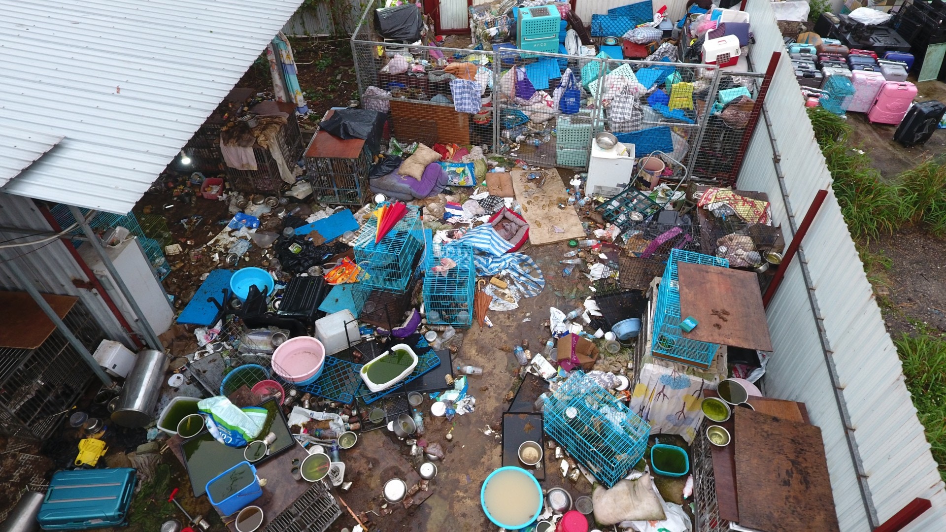 現場所見,狗場內有狹小的籠,滿佈糞便、雜物,環境惡劣並不適合動物生活。(王譯揚攝) 現場所見,狗場內有狹小的籠,滿佈糞便、雜物,環境惡劣並不適合動物生活。(王譯揚攝)