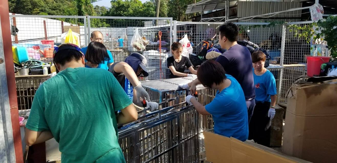 I Share Pet義工去年11月到「浪舍」進行大清洗, 令場內煥然一新。(「浪舍」fb) I Share Pet義工去年11月到「浪舍」進行大清洗, 令場內煥然一新。(「浪舍」fb)