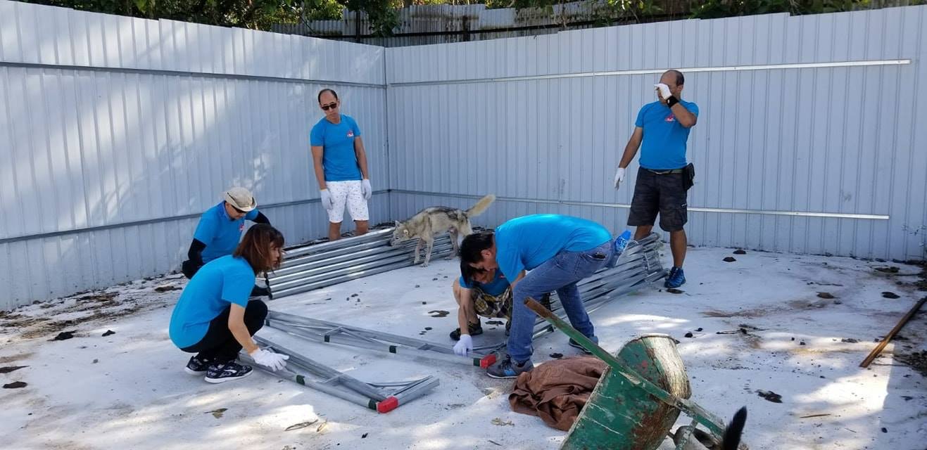 I Share Pet義工去年11月到「浪舍」進行大清洗, 令場內煥然一新。(「浪舍」fb) I Share Pet義工去年11月到「浪舍」進行大清洗, 令場內煥然一新。(「浪舍」fb)