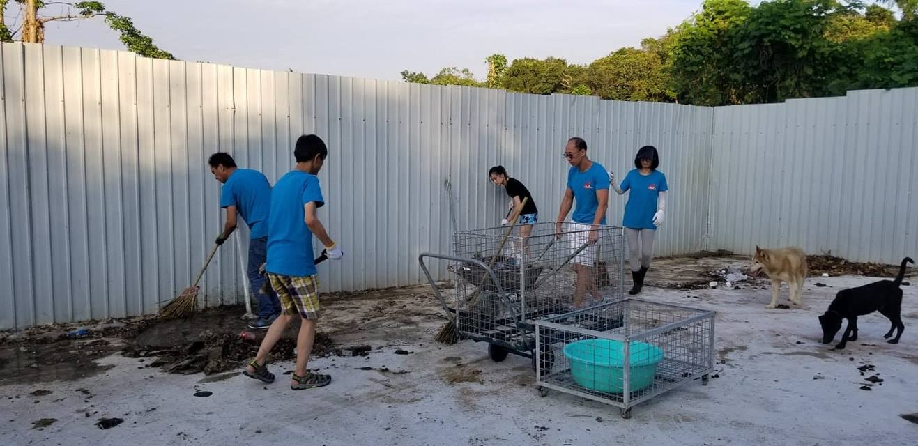 I Share Pet義工去年11月到「浪舍」進行大清洗, 令場內煥然一新。(「浪舍」fb) I Share Pet義工去年11月到「浪舍」進行大清洗, 令場內煥然一新。(「浪舍」fb)