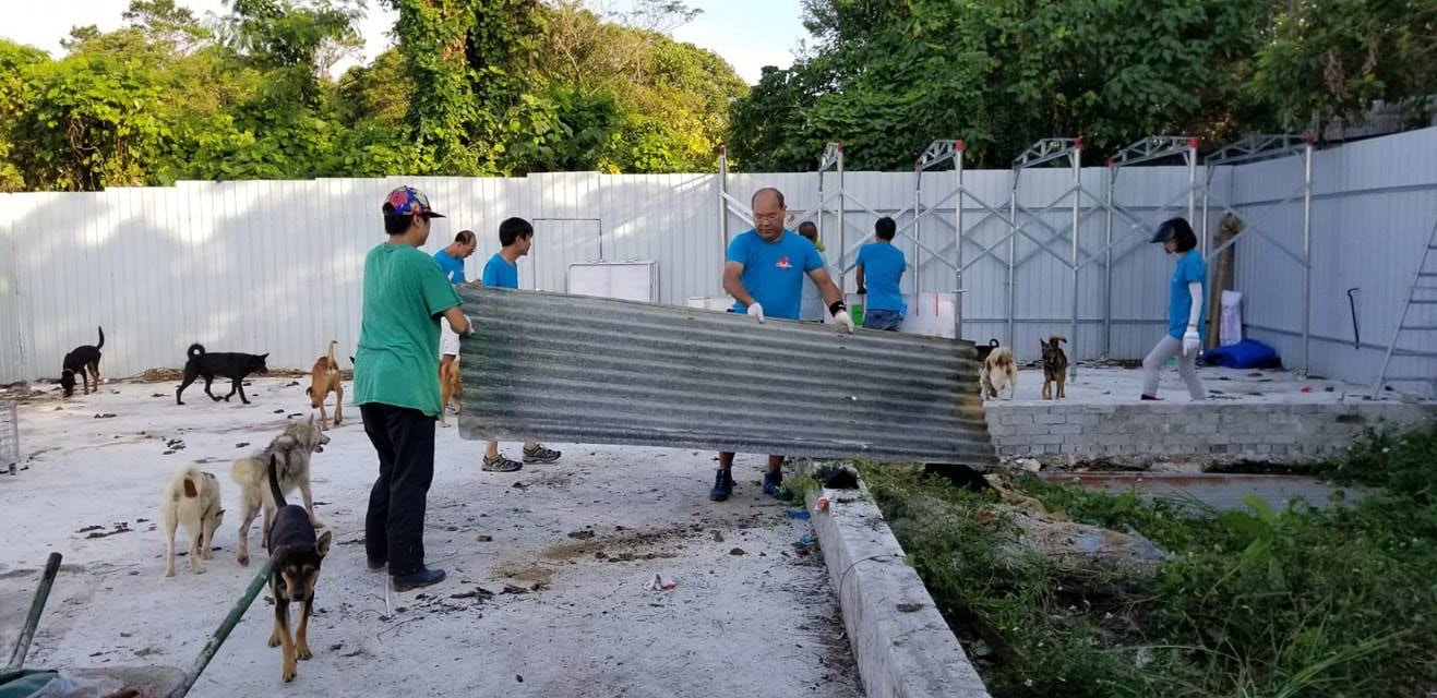 I Share Pet義工去年11月到「浪舍」進行大清洗, 令場內煥然一新。(「浪舍」fb) I Share Pet義工去年11月到「浪舍」進行大清洗, 令場內煥然一新。(「浪舍」fb)