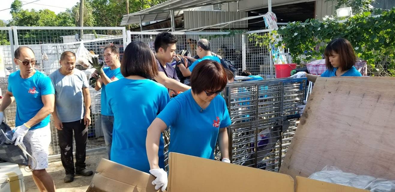 I Share Pet義工去年11月到「浪舍」進行大清洗, 令場內煥然一新。(「浪舍」fb) I Share Pet義工去年11月到「浪舍」進行大清洗, 令場內煥然一新。(「浪舍」fb)