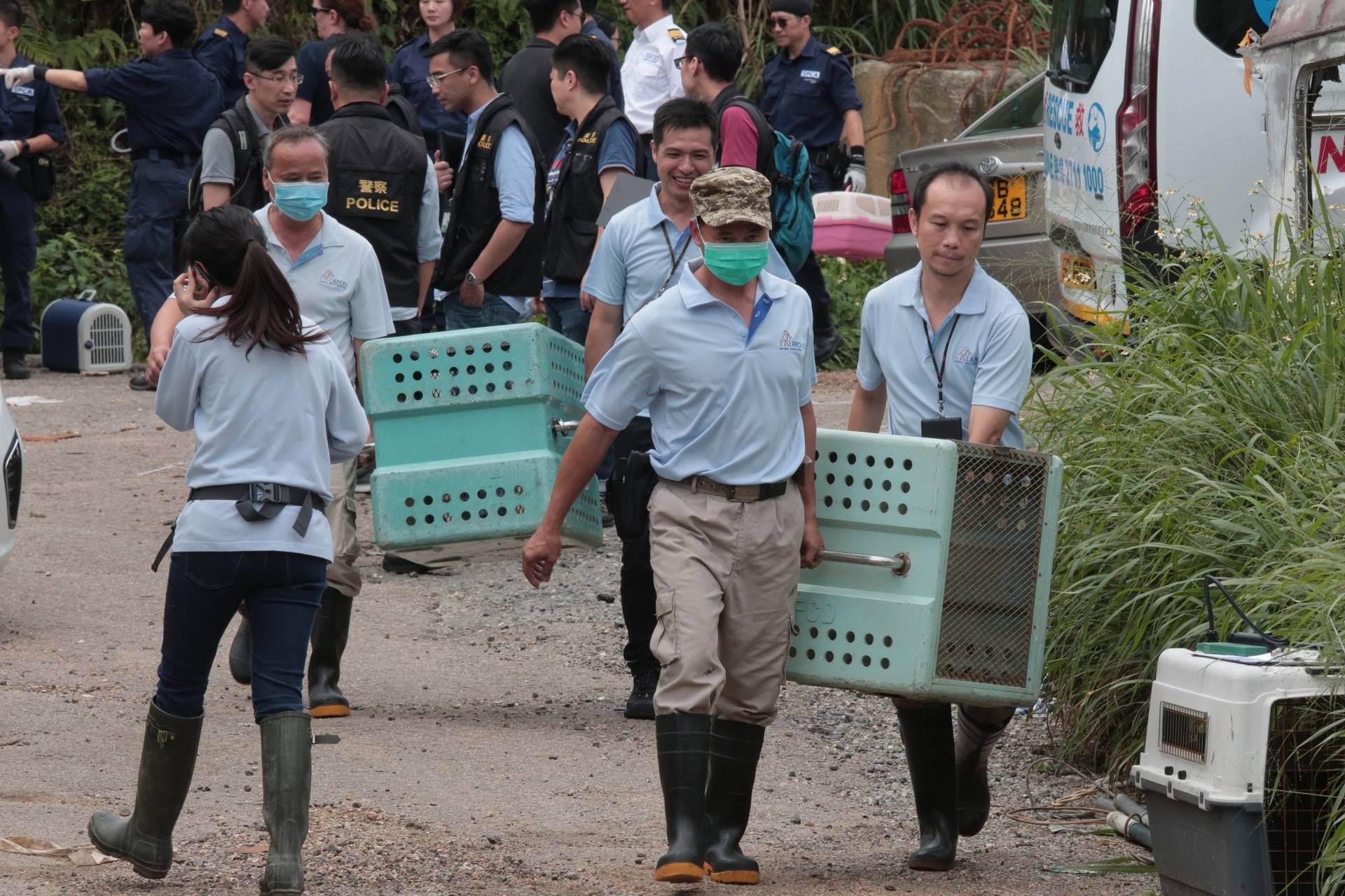 漁護署人員進入現場。(梁銘康攝) 漁護署人員進入現場。(梁銘康攝)