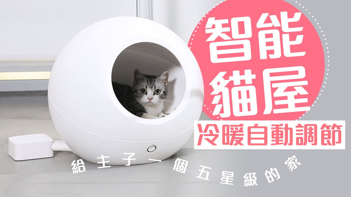 日本「智能貓屋」!舒適冷暖環境外更有實用功能!香港都有得賣? 日本「智能貓屋」!舒適冷暖環境外更有實用功能!香港都有得賣?