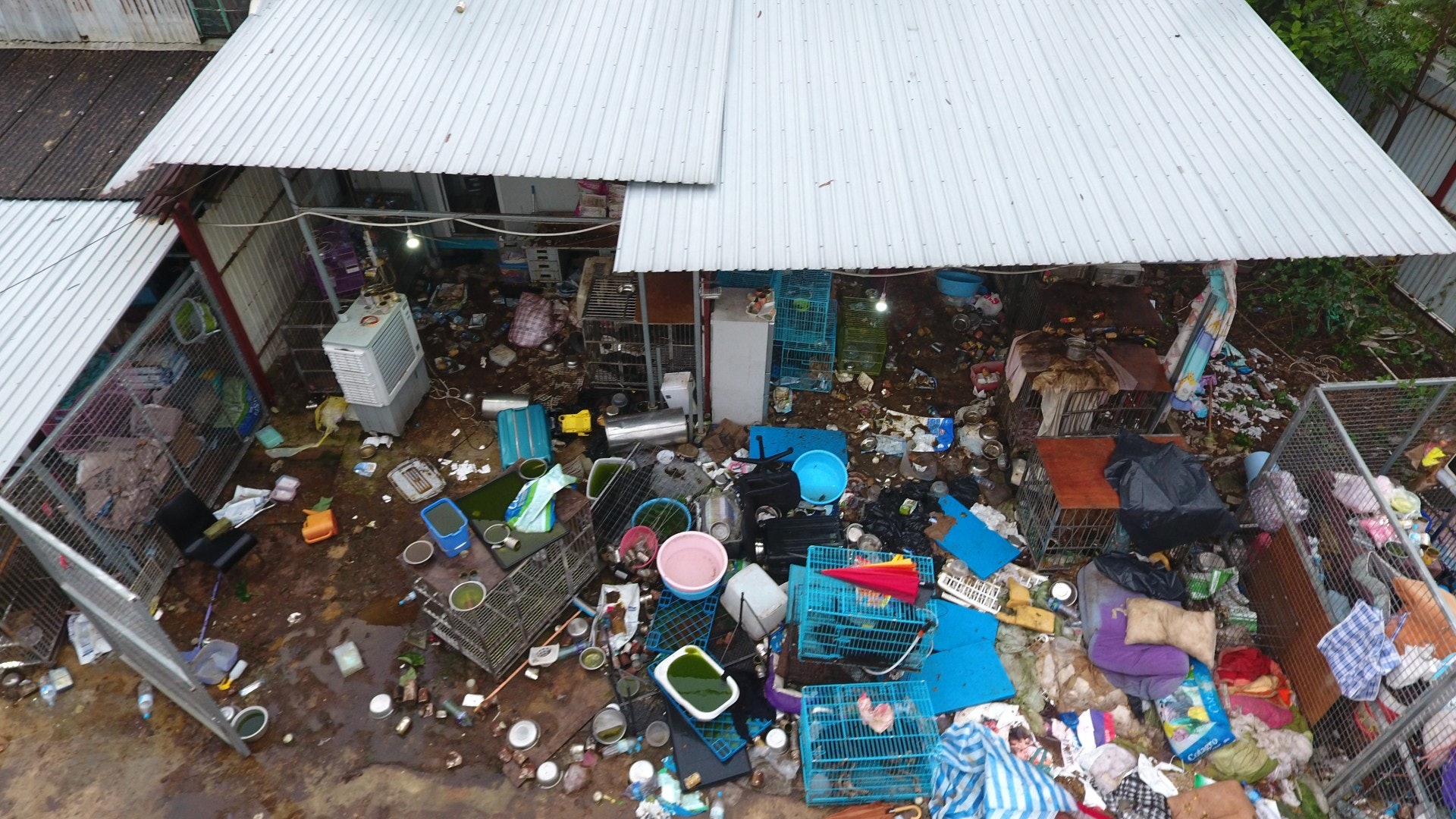 該個狗場有近四個籃球場般大,環境惡劣,現場更有嚴重腐化的狗屍。(王譯揚攝) 該個狗場有近四個籃球場般大,環境惡劣,現場更有嚴重腐化的狗屍。(王譯揚攝)