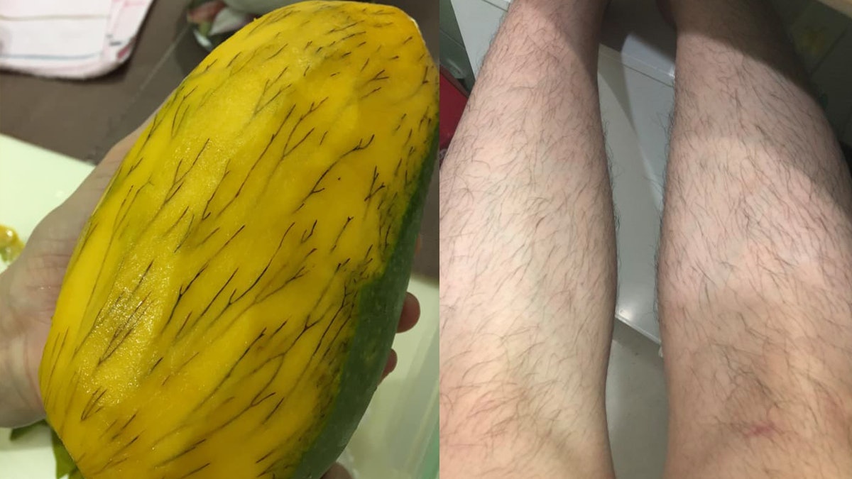 芒果果肉佈滿微細黑絲勁似腳毛 網民急勸:千萬不要吃! 芒果果肉佈滿微細黑絲勁似腳毛 網民急勸:千萬不要吃!