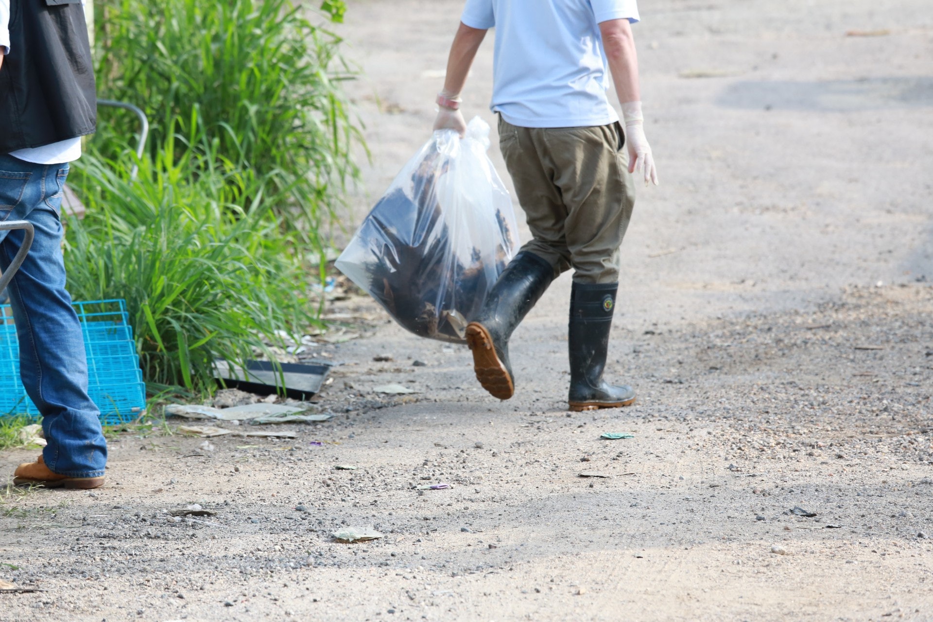 人員將貓狗屍體包裹。(林振華攝) 人員將貓狗屍體包裹。(林振華攝)