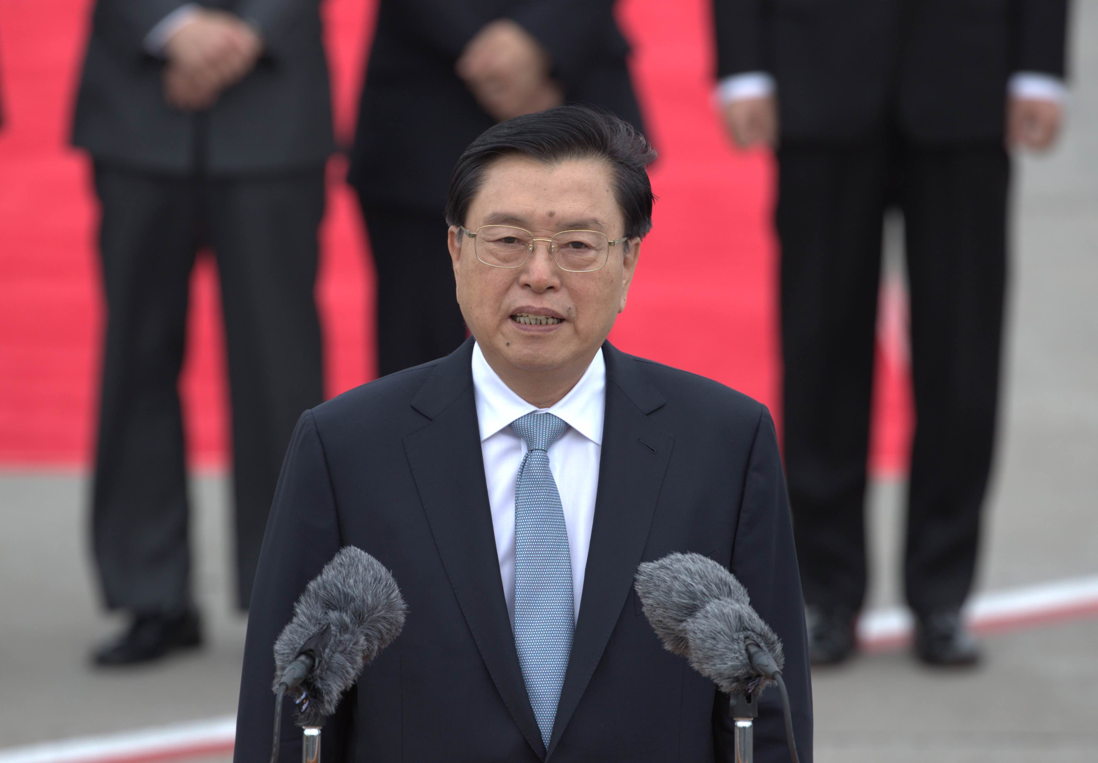 【人大釋法】張德江：釋法表明中央堅定反對港獨立場