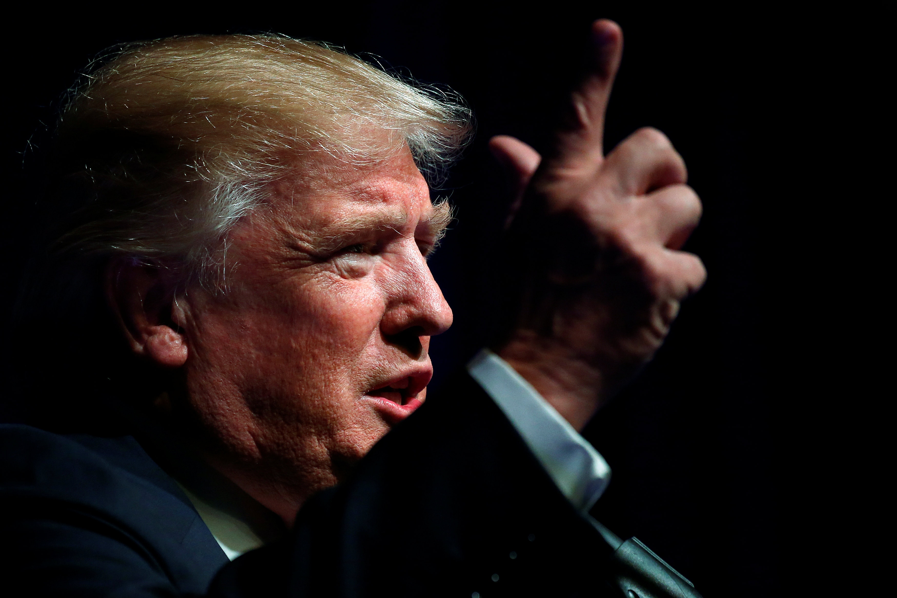 特朗普當選真的是「黑天鵝」？ 《MarketWatch》趣評兩大受惠者