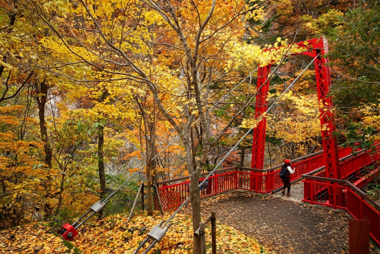 多圖 港人勇奪全球旅遊攝影師第二位大量風景靚相慢慢睇