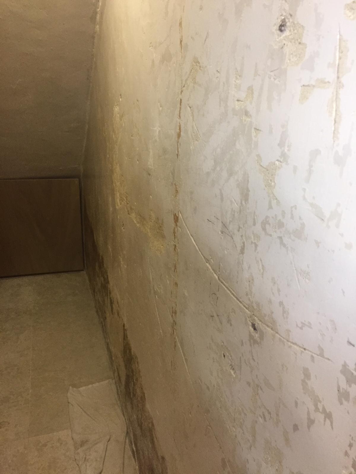 第一次接job，是替海味店內的一間狗屋裝修。（受訪者提供）