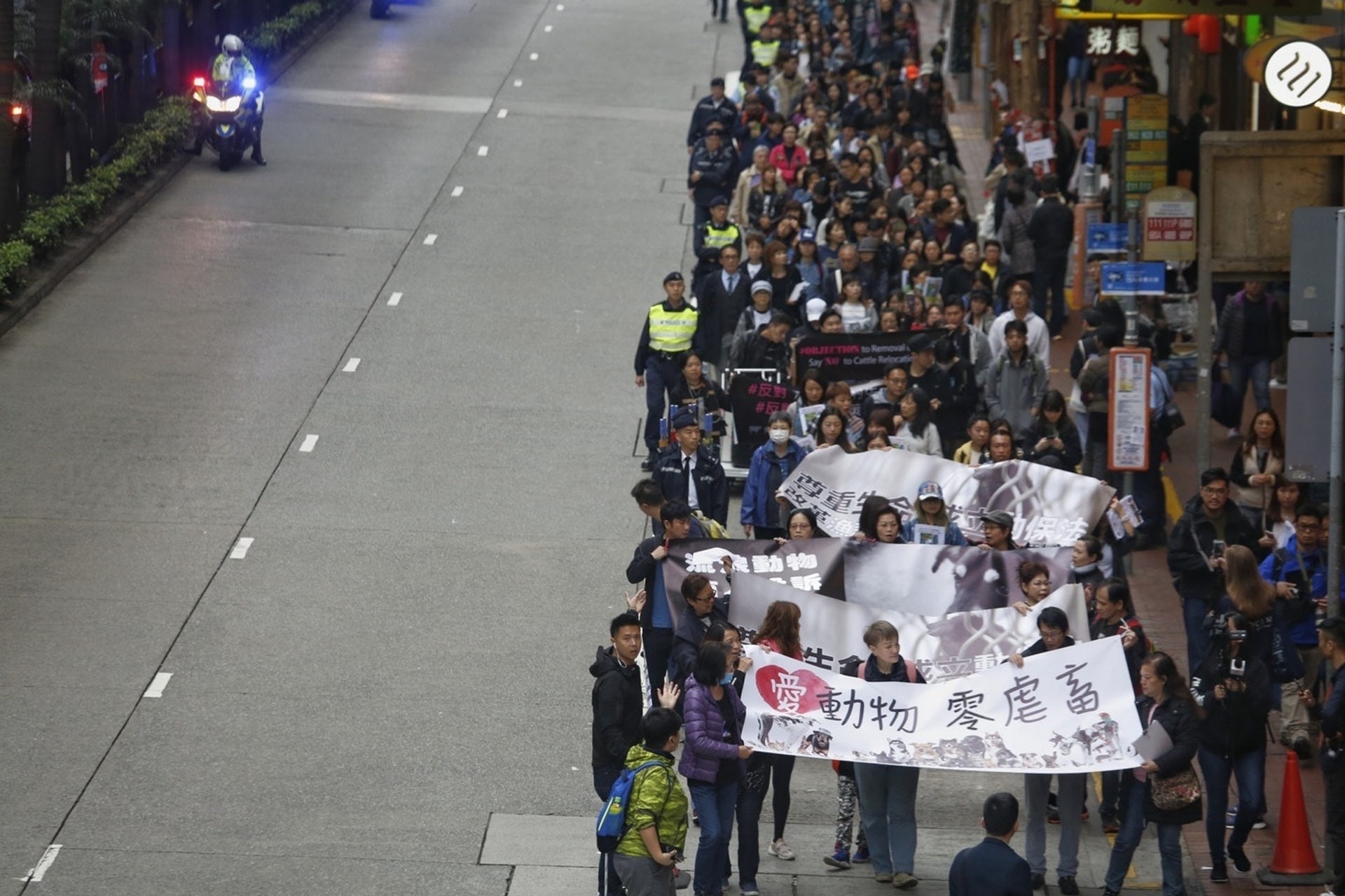 民間爭取成立動物福利法呼聲高漲,促使港府就相關法例修訂及草擬展開公眾諮詢。(資料圖片) 民間爭取成立動物福利法呼聲高漲,促使港府就相關法例修訂及草擬展開公眾諮詢。(資料圖片)