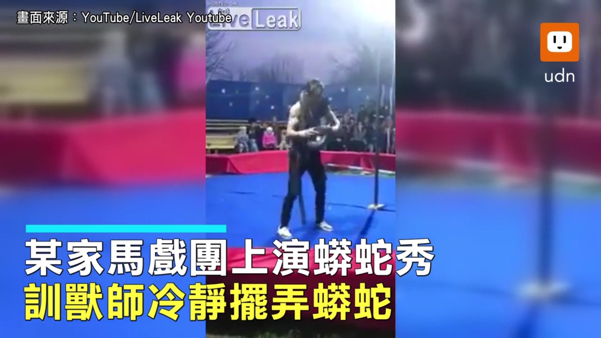馴獸師疑遭蟒蛇勒斃片段（影片截圖）