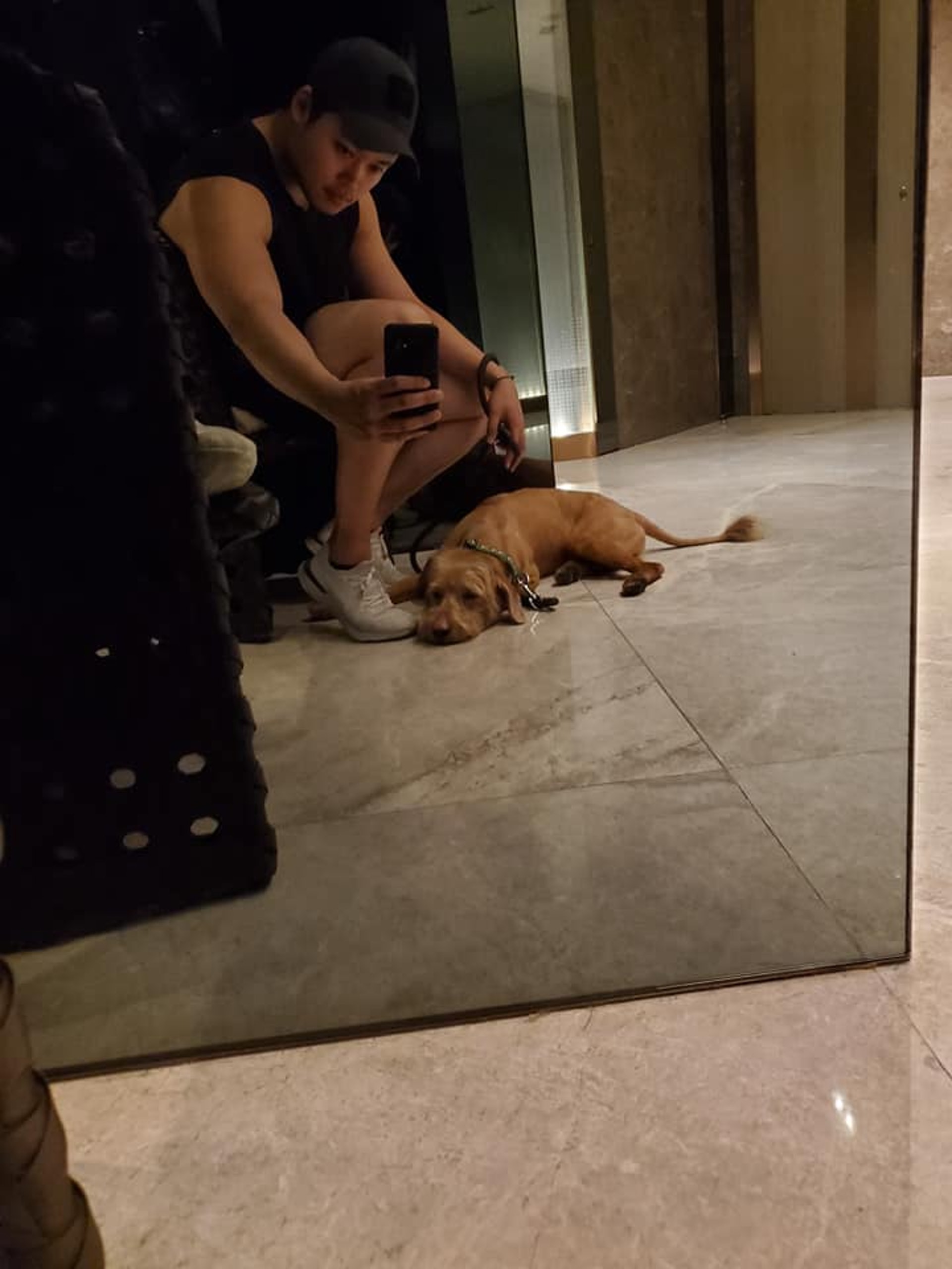 狗狗不會亂吠,而且「好嗲」。(受訪者提供) 狗狗不會亂吠,而且「好嗲」。(受訪者提供)