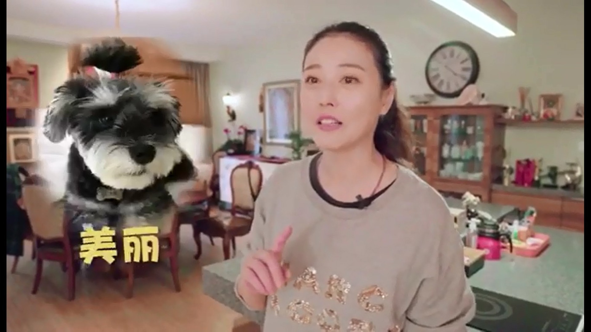 周海媚經常淡妝上陣拍片分享自己與愛犬的有趣互動。 周海媚經常淡妝上陣拍片分享自己與愛犬的有趣互動。