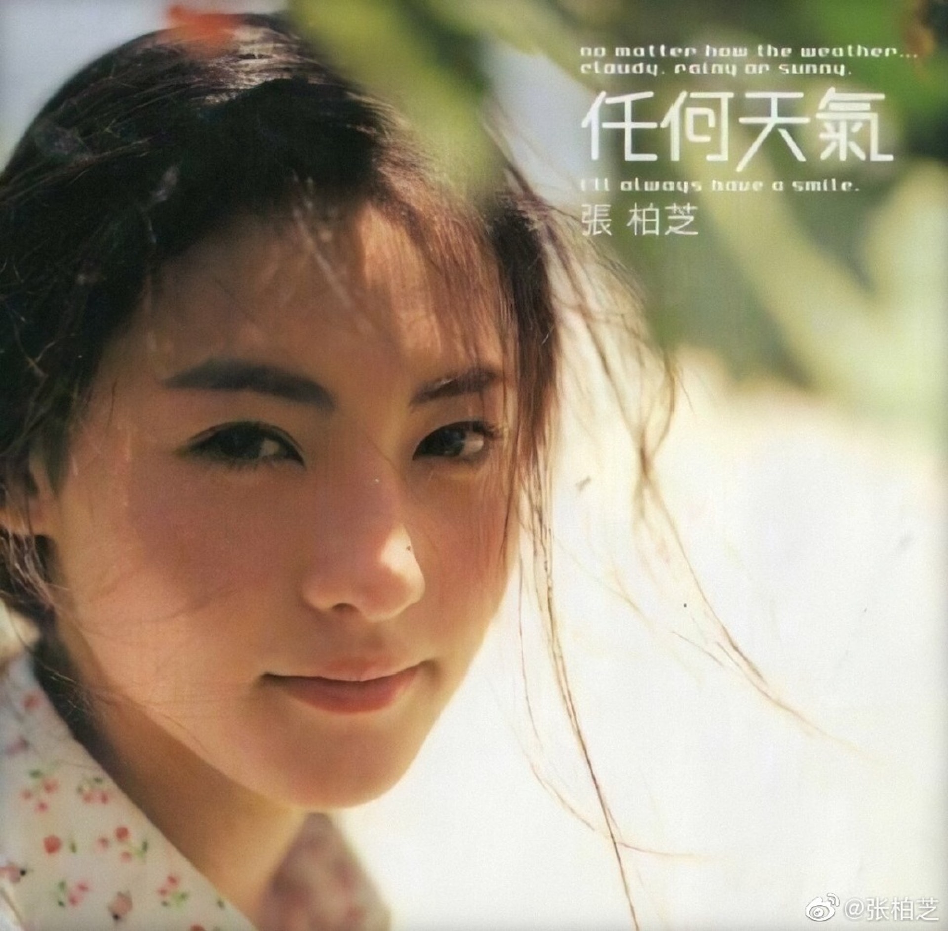 張栢芝出道時,無論係唱歌定電影都順風順水。 張栢芝出道時,無論係唱歌定電影都順風順水。