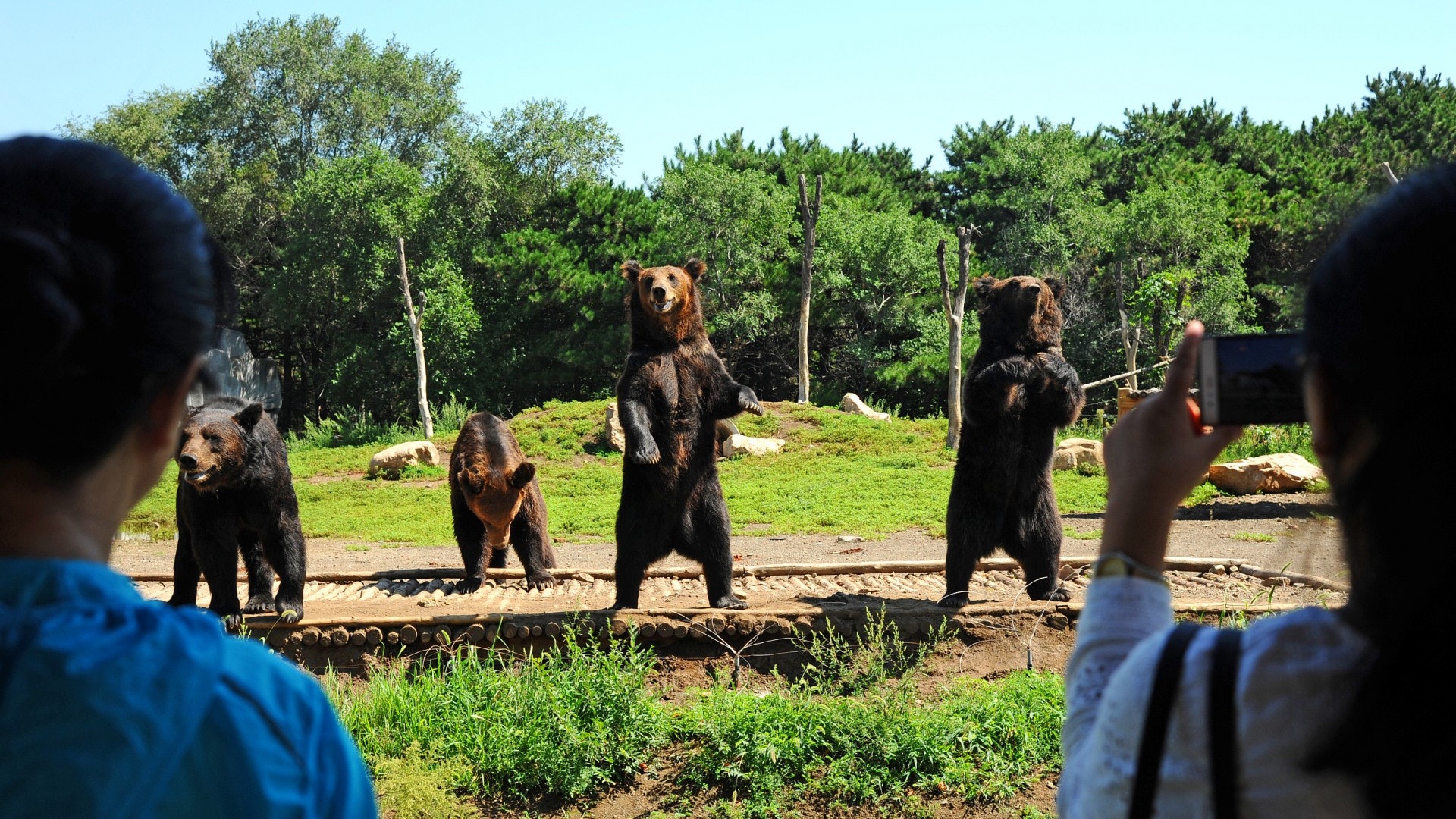 【五一假期】瀋陽森林動物園遊客違規投餵 致熊猴等動物腹瀉 【五一假期】瀋陽森林動物園遊客違規投餵 致熊猴等動物腹瀉