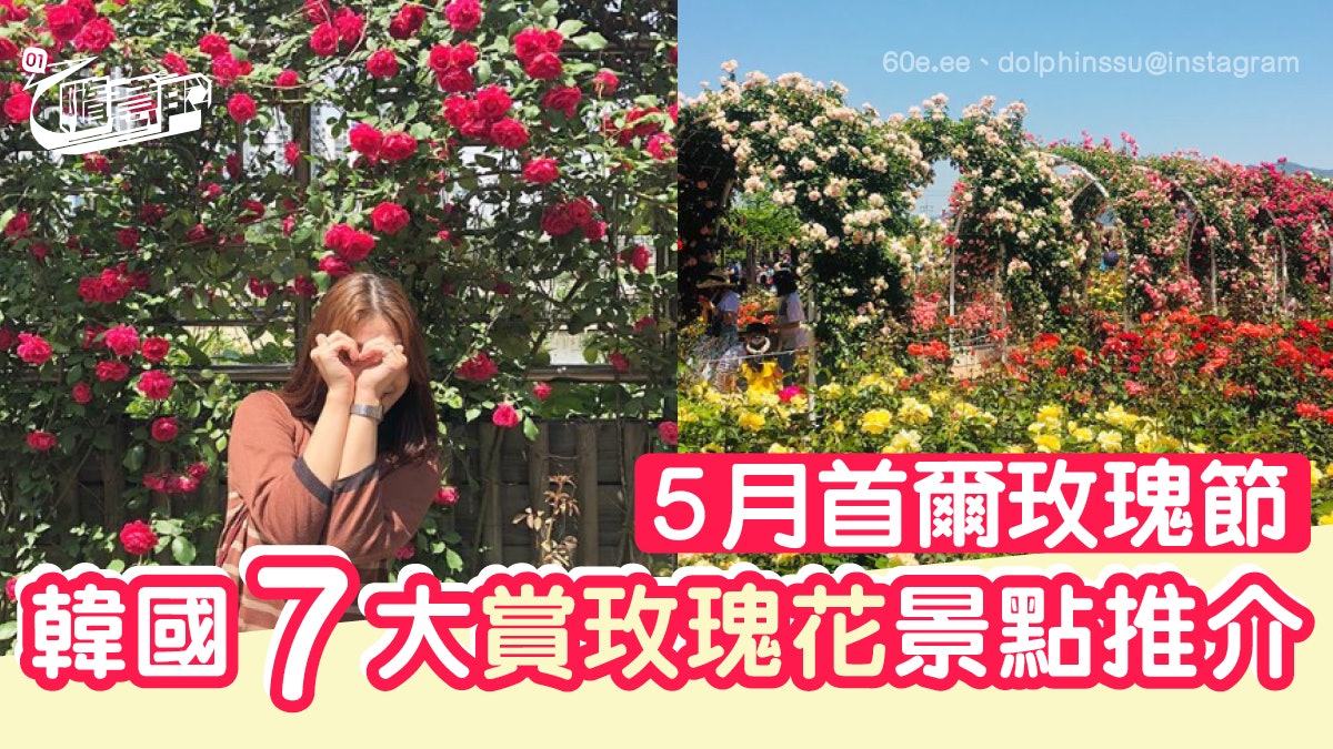 韓國玫瑰 7大園區賞花 5月玫瑰節逾百萬朵花海影靚相 香港01 旅遊 韓國玫瑰 7大園區賞花 5月玫瑰節逾百萬朵花海影靚相 香港01 旅遊