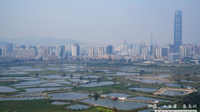 【上水行山路線】登沙嶺俯瞰中港邊境 上大石磨看魚塘美景 【上水行山路線】登沙嶺俯瞰中港邊境 上大石磨看魚塘美景