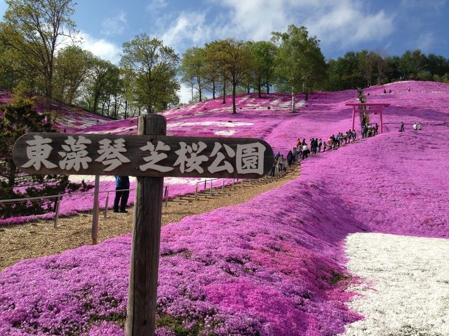 北海道自由行 5月必睇 東藻琴公園芝櫻絕景附5大打卡位