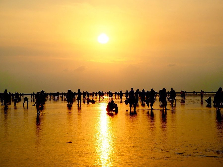 台灣高美濕地（Instagram@pbf_meg）