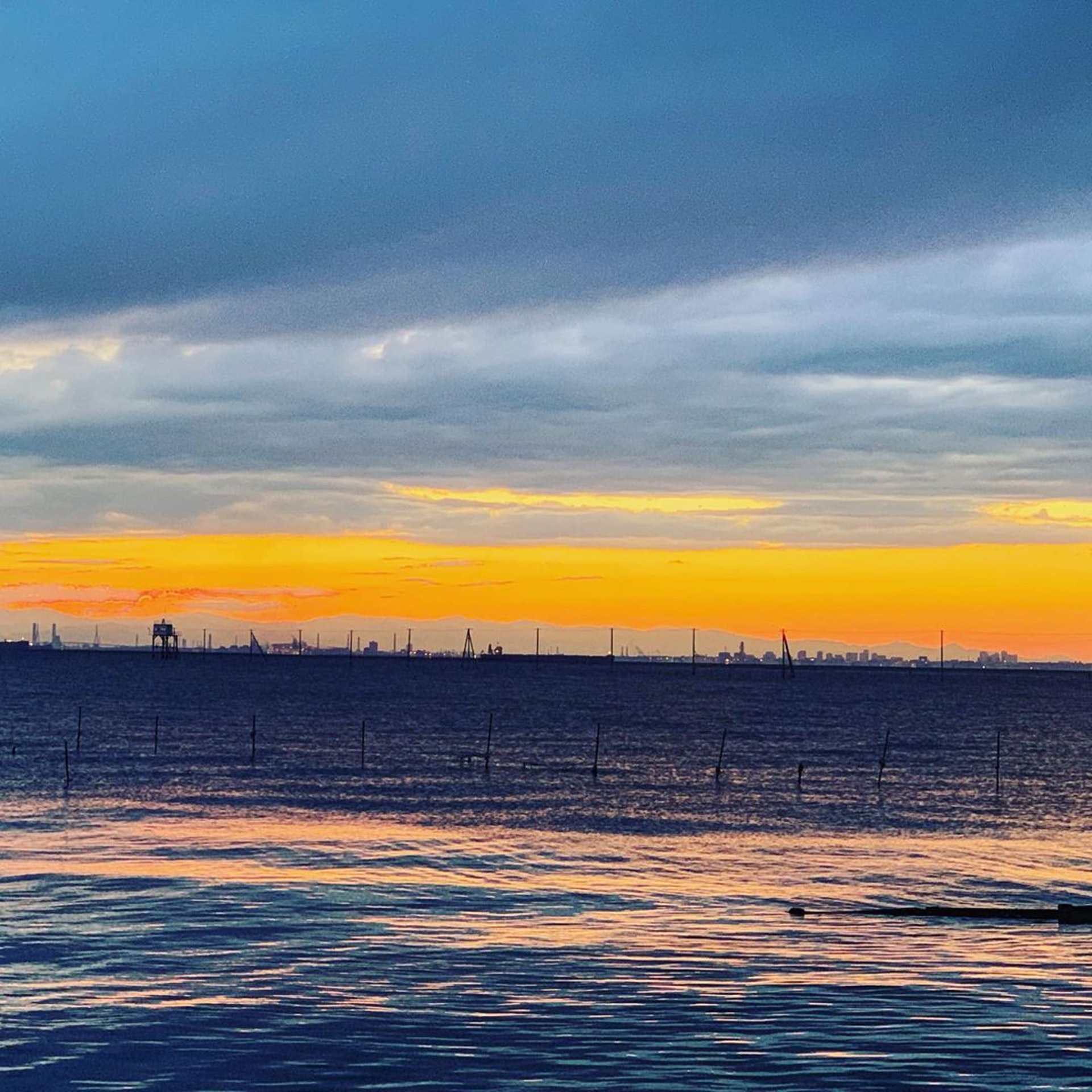 前往方法:乘JR內房線到巌根站下車後轉乘的士,約5分鐘可到達(Instagram@tatutaro)