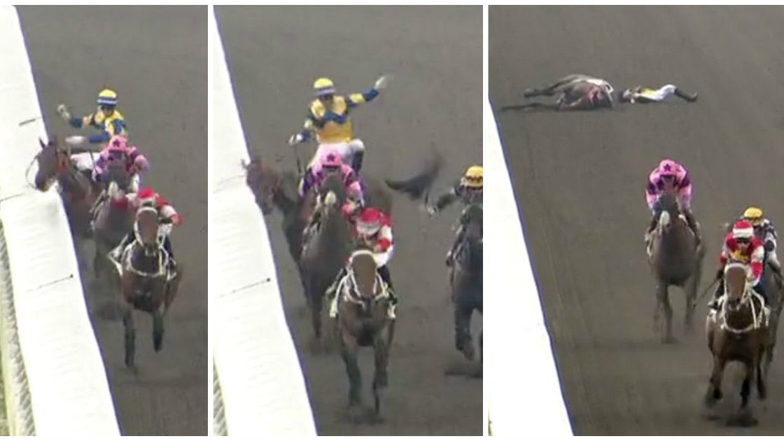 現時在賽馬時發生墮馬意外,如獸醫檢查後若四肢受傷,會讓馬匹安樂死。(資料圖片) 現時在賽馬時發生墮馬意外,如獸醫檢查後若四肢受傷,會讓馬匹安樂死。(資料圖片)