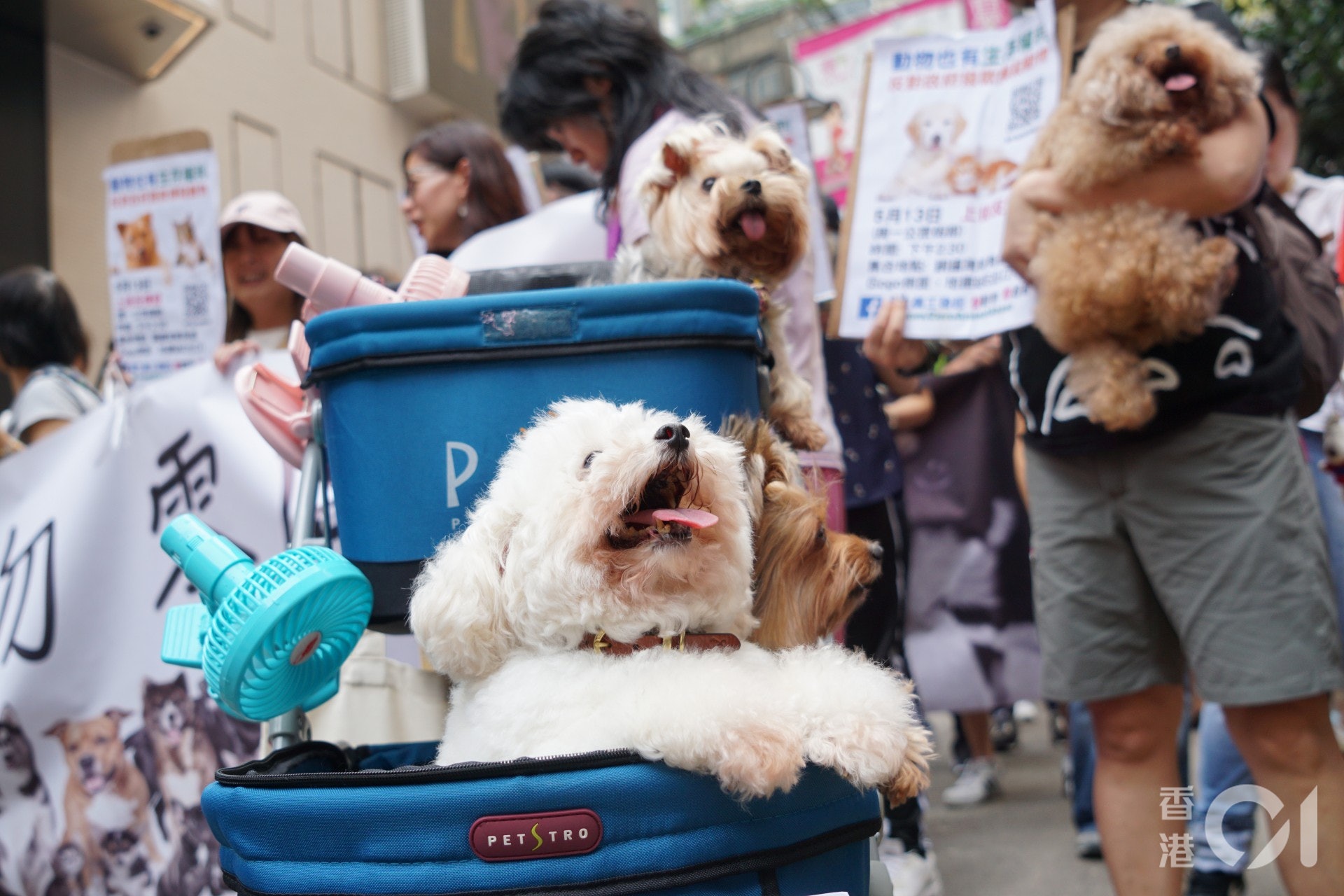 不少市民帶同寵物遊行。(洪嘉徽攝) 不少市民帶同寵物遊行。(洪嘉徽攝)