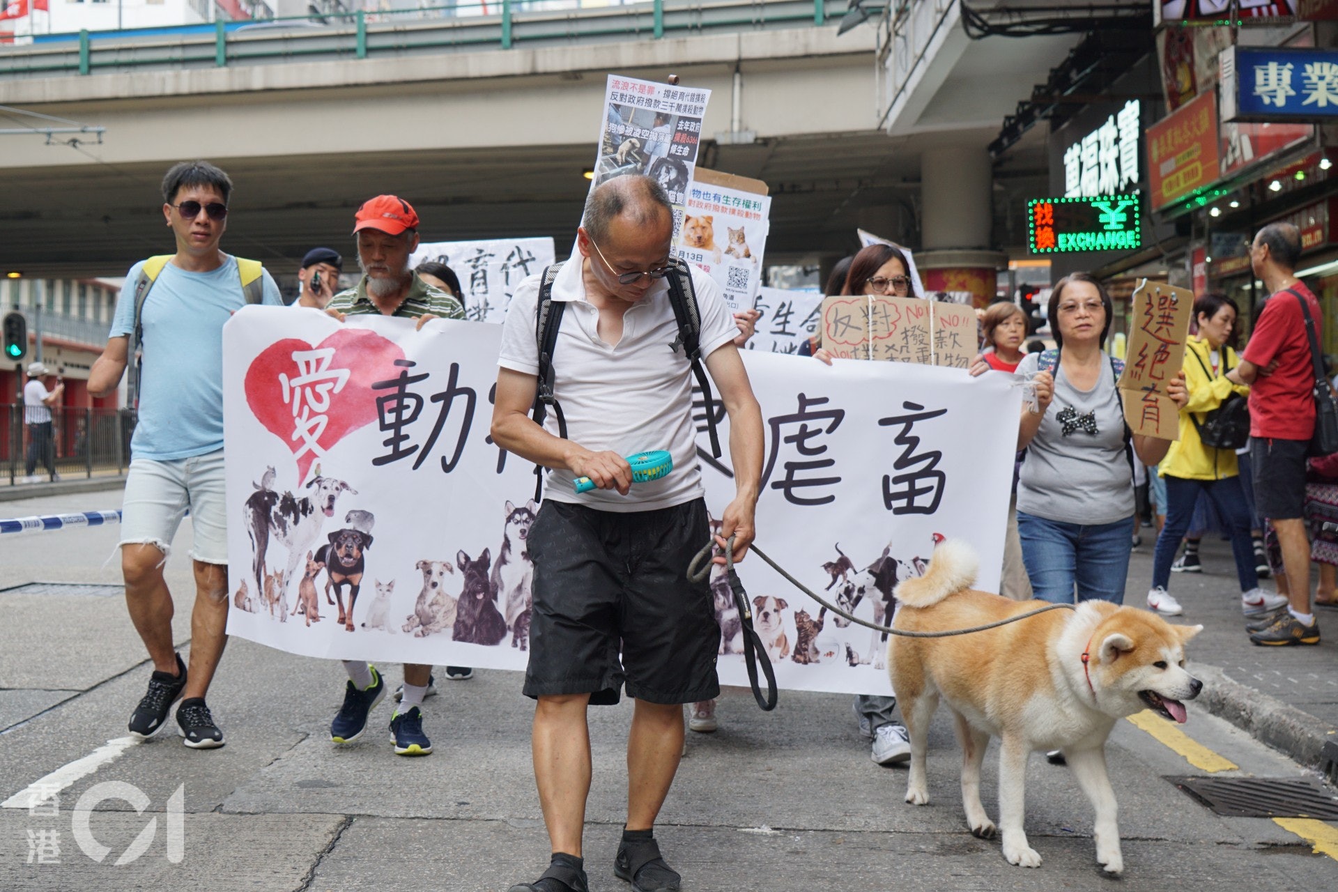 (洪嘉徽攝) (洪嘉徽攝)