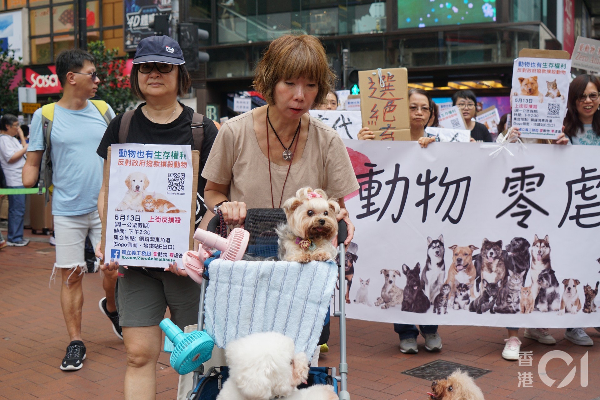 (洪嘉徽攝) (洪嘉徽攝)