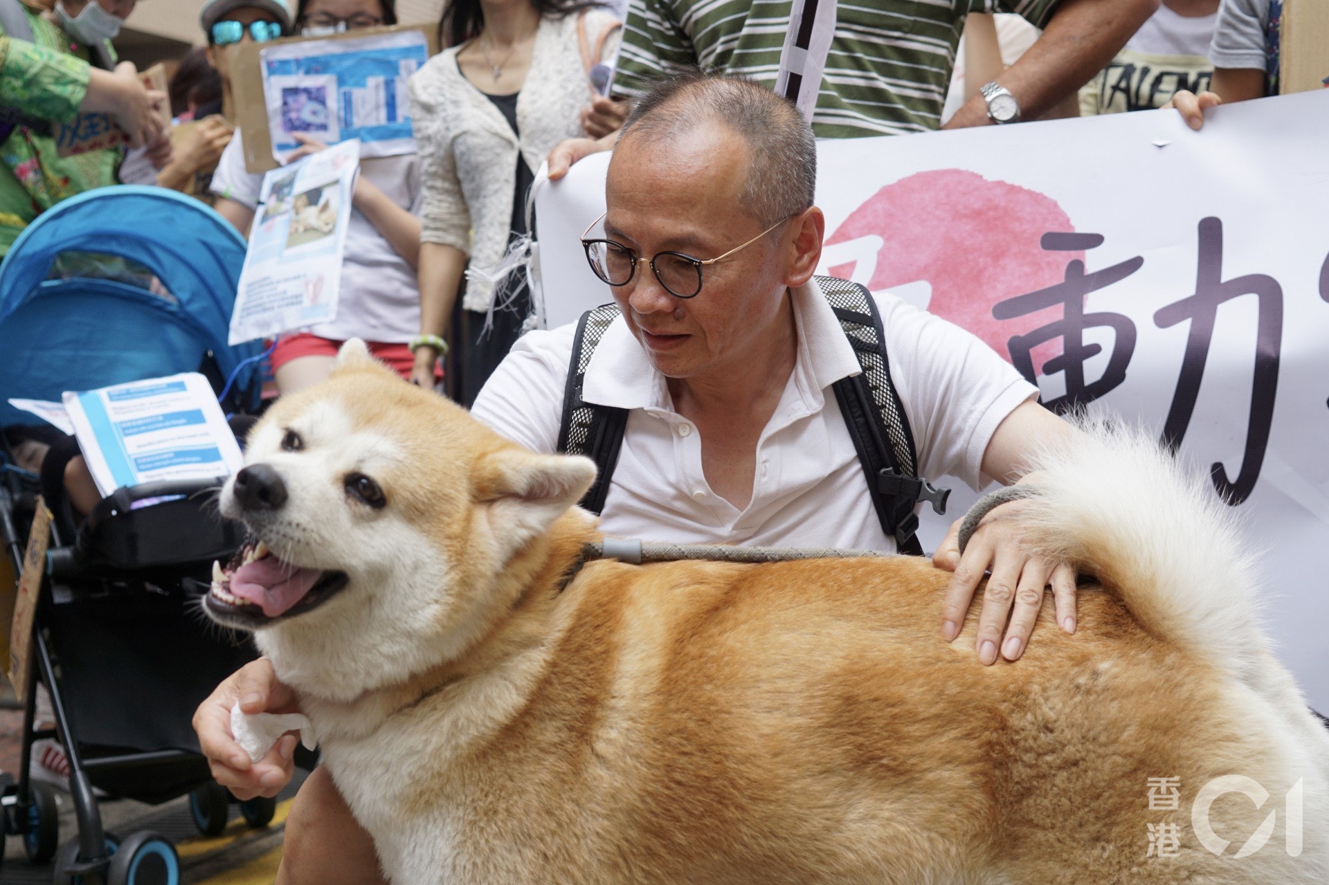 (洪嘉徽攝) (洪嘉徽攝)