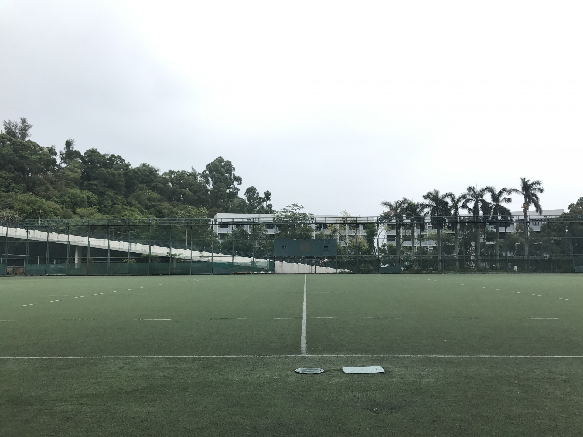 深水埗人造草場租用率偏低　區議員倡開放讓市民耍太極、跑步