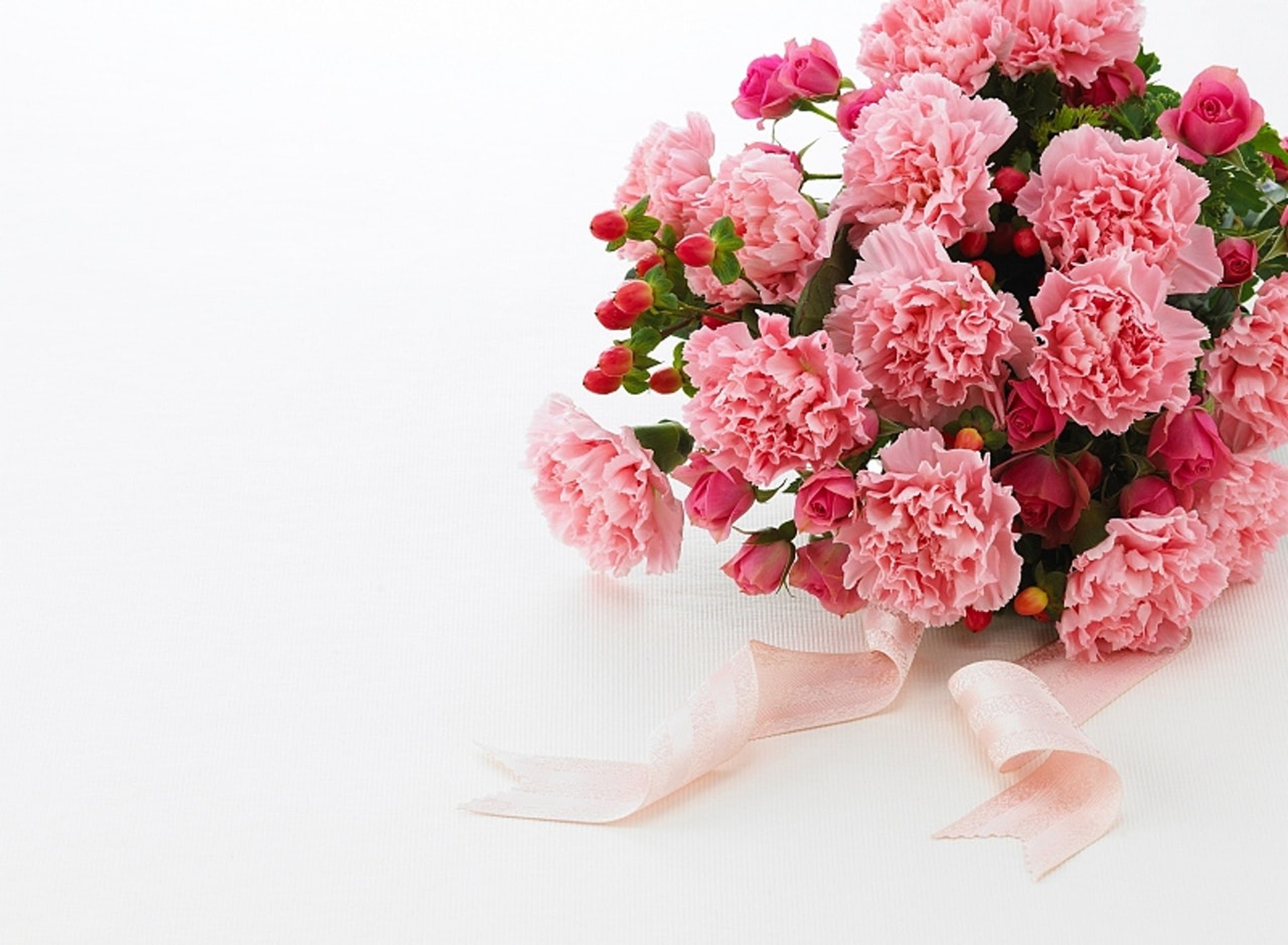 康乃馨(Carnation) 康乃馨對貓咪和狗狗來說,都是有毒的。如果貓咪吃了下肚,會引起胃腸不適,甚至嘔吐。有些貓咪在接觸到康乃馨後,皮膚會受刺激發炎。(VCG) 康乃馨(Carnation) 康乃馨對貓咪和狗狗來說,都是有毒的。如果貓咪吃了下肚,會引起胃腸不適,甚至嘔吐。有些貓咪在接觸到康乃馨後,皮膚會受刺激發炎。(VCG)