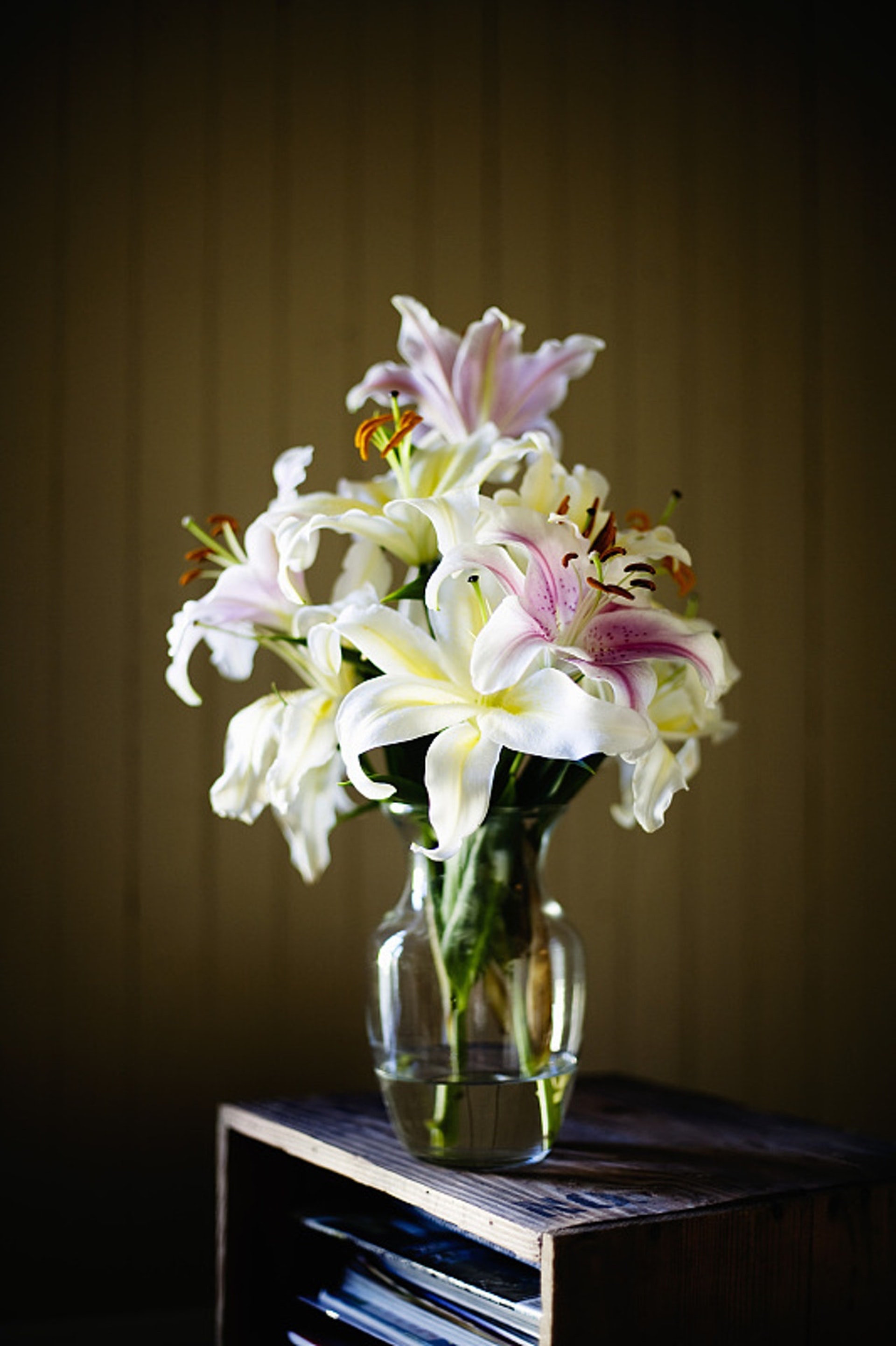 百合花(Lily) 許多品種的百合花,都貓咪來說都是有毒的。貓咪只要吃下少許百合花,便有可能出現嚴重的腎衰竭,甚至是花粉也對貓咪有害,一定要加倍留神。(VCG) 百合花(Lily) 許多品種的百合花,都貓咪來說都是有毒的。貓咪只要吃下少許百合花,便有可能出現嚴重的腎衰竭,甚至是花粉也對貓咪有害,一定要加倍留神。(VCG)