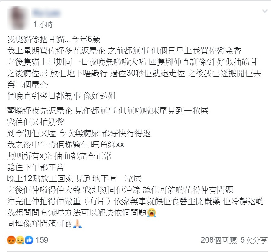 貓奴在網上求助,反被指無知。(Facebook網上截圖) 貓奴在網上求助,反被指無知。(Facebook網上截圖)