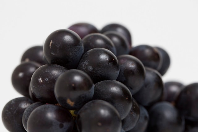 【葡萄】即使只是小量,葡萄也會破壞貓咪腎臟。美國動物組織ASPCA曾發表報告,指接收多宗狗隻因為進食葡萄和葡萄乾而食物中毒的案例。(資料圖片) 【葡萄】即使只是小量,葡萄也會破壞貓咪腎臟。美國動物組織ASPCA曾發表報告,指接收多宗狗隻因為進食葡萄和葡萄乾而食物中毒的案例。(資料圖片)