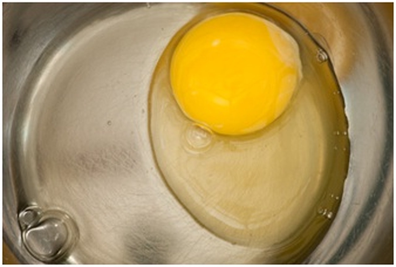 【生雞蛋】貓咪不應該吃生雞蛋,這會使貓咪感染沙門氏菌或大腸桿菌的風險提高。即使吃的蛋是無菌的也要小心,因為蛋清含有抗生物素蛋白,它可以阻止維他命B的吸收。(資料圖片) 【生雞蛋】貓咪不應該吃生雞蛋,這會使貓咪感染沙門氏菌或大腸桿菌的風險提高。即使吃的蛋是無菌的也要小心,因為蛋清含有抗生物素蛋白,它可以阻止維他命B的吸收。(資料圖片)