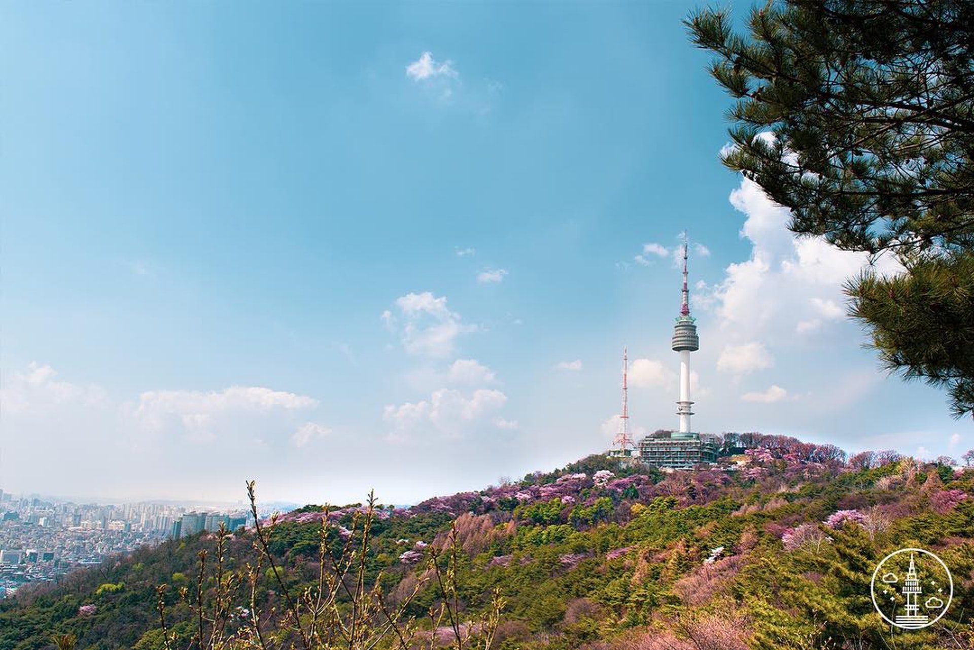 首爾塔(圖片來源:namsanseoultower@IG) 首爾塔(圖片來源:namsanseoultower@IG)