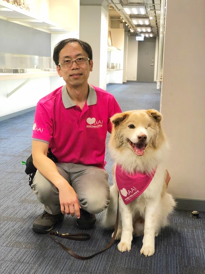 原本是流浪狗的「淡定哥」,搖身一變成治療犬。(Facebook@淡定哥) 原本是流浪狗的「淡定哥」,搖身一變成治療犬。(Facebook@淡定哥)