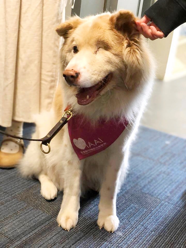 「淡定哥」最喜歡咧嘴大笑。(Facebook@淡定哥) 「淡定哥」最喜歡咧嘴大笑。(Facebook@淡定哥)