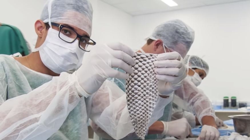 魚皮造陰道 全球首名變性人接受手術:「第一次覺得像個真女人」 魚皮造陰道 全球首名變性人接受手術:「第一次覺得像個真女人」